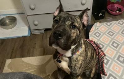 KHS - ETHAN OVERNIGHT WITH SNOW - 2-17-2021 1.jpg