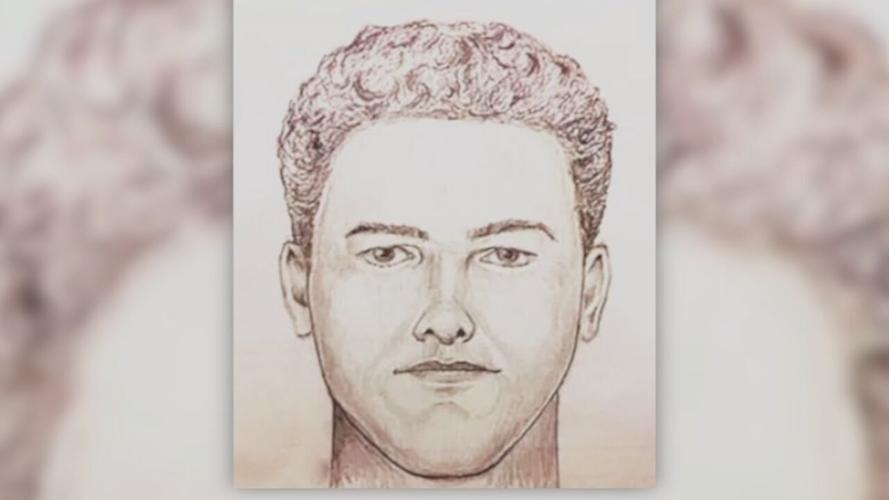 Police sketch of Delphi, Indiana murderer.jpeg