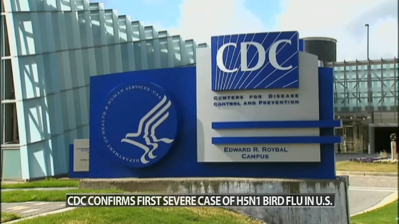 CDC Confirms First Case Of Severe Bird Flu In Louisiana | Wdrb-video ...