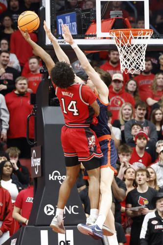 Virginia at Louisville
