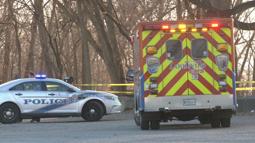 CHICKASAW PARK INVESTIGATION