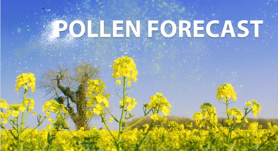 Pollen On The Rise