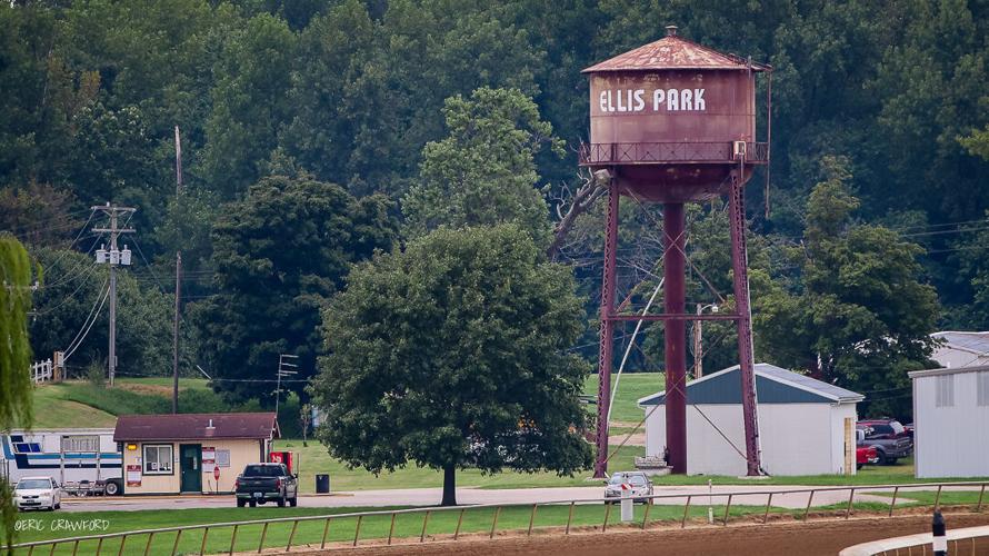 Ellis Park