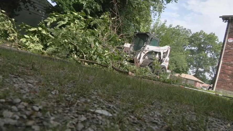 Alley Action Crew works to clean alleyways across Louisville
