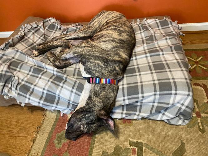 KHS - ETHAN OVERNIGHT WITH SNOW - 2-17-2021 5.jpg