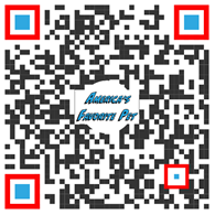 Vote for Hank QR Code