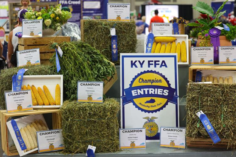 Kentucky FFA at Kentucky State Fair.JPG