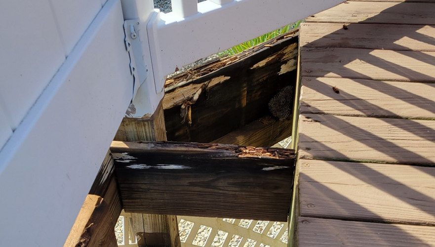 Roxane Jackelen and Corrie Urhammer's damaged deck