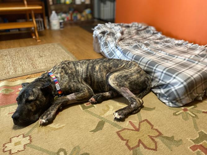 KHS - ETHAN OVERNIGHT WITH SNOW - 2-17-2021 6.jpg