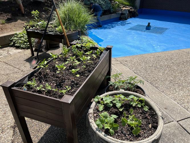 WDRB employees gather to plant and mulch the WDRB Flutter Farm