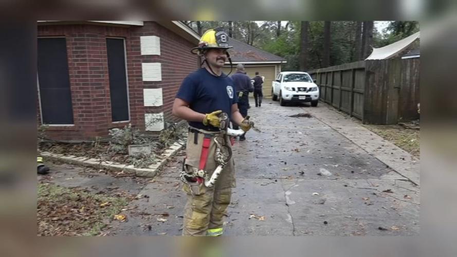 TX FIREFIGHTERS RESCUE 100 SNAKES 2.jpg