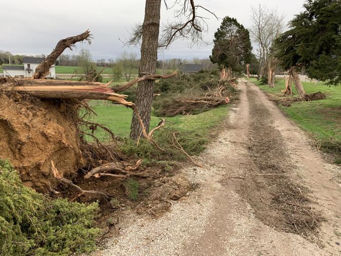 STORM DAMAGE - MEADE COUNTY - POWELL LANE - 4-6-2023  (6).jpg