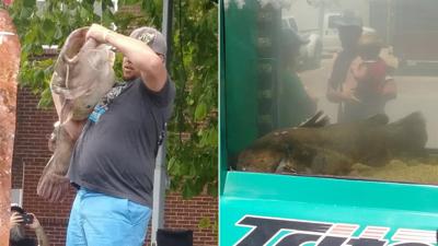 85-pound catfish