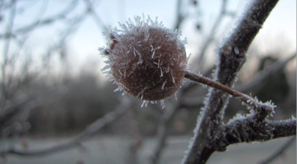 Screen Shot 2020-04-01 at 12.42.29 PM.png