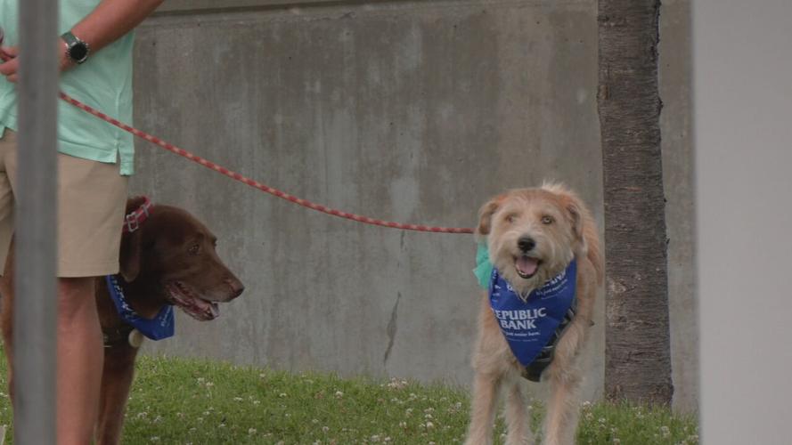 WAGGIN TAIL ON WATERFRONT