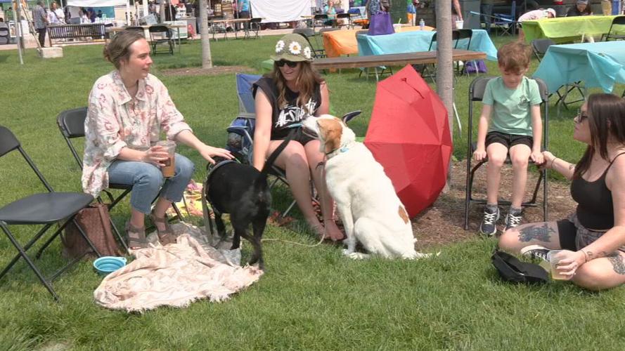 WAGGIN TAIL WATERFRONT (2).jpeg