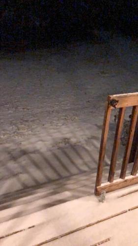 Snow in Vine Grove, Kentucky.jpg