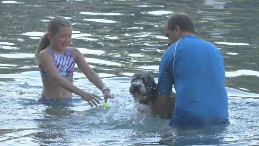 Lakeside Doggie Dip 2021 (10).jpeg