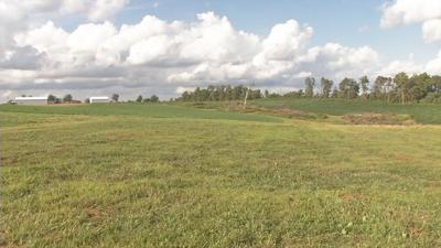 sludge farm