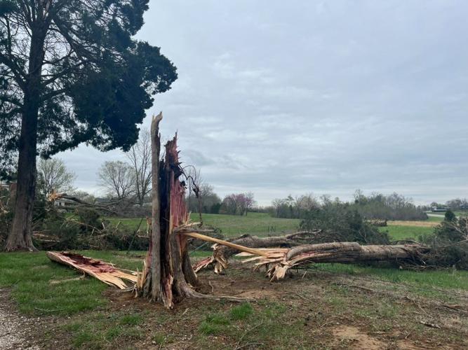 STORM DAMAGE - MEADE COUNTY - POWELL LANE - 4-6-2023  (8).jpg