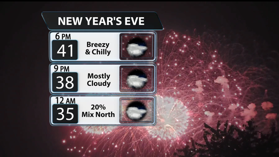 wx123125New Years DAY PLANNER 2025m.png