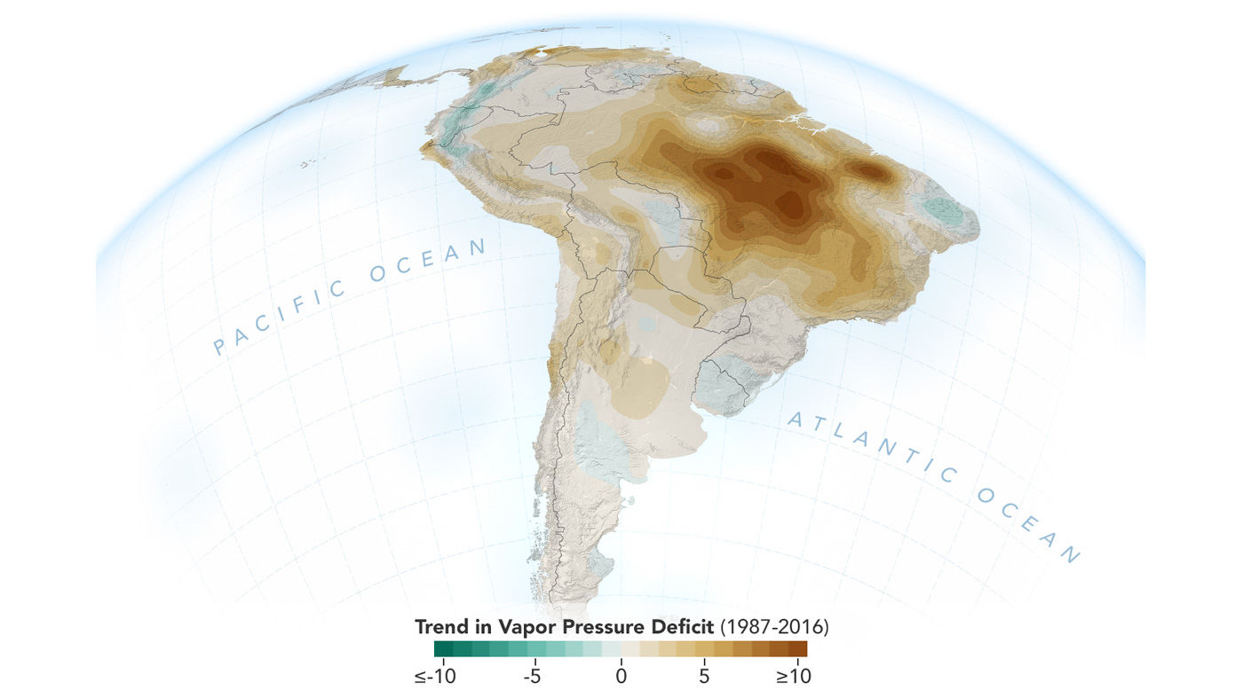 Humans Are Drying Out The Rainforest | Weather Blog | Wdrb.com