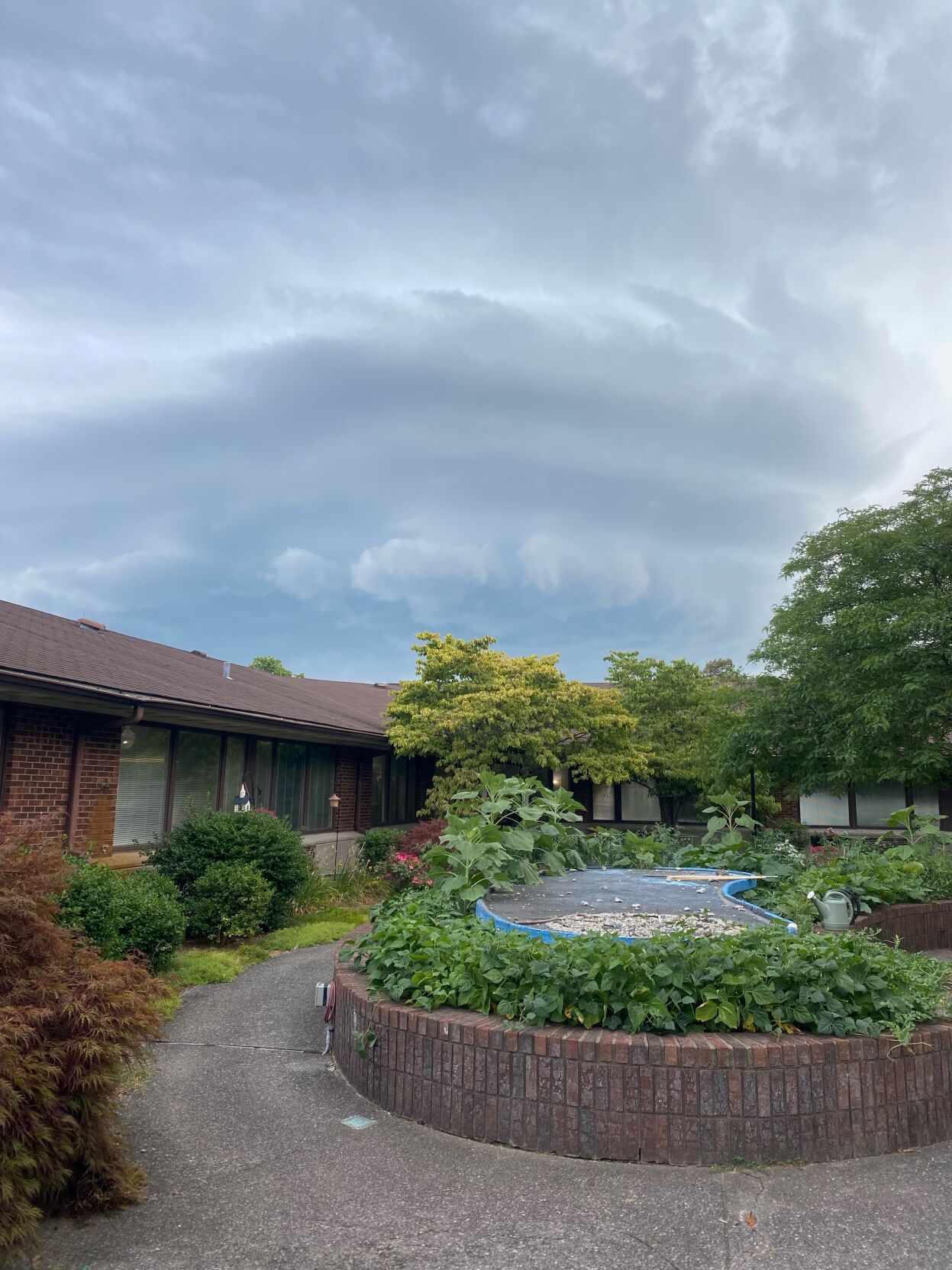 Radcliff cloud Kentucky.jpg