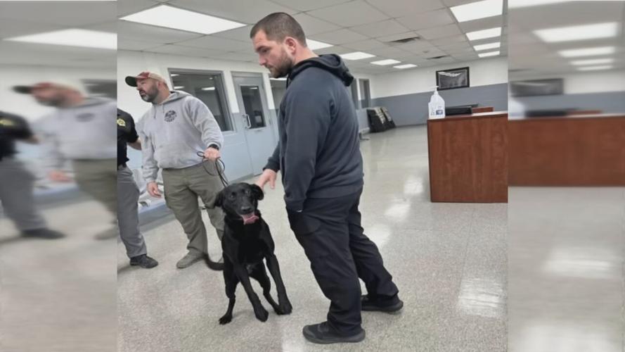 Bullitt County Drug Dog
