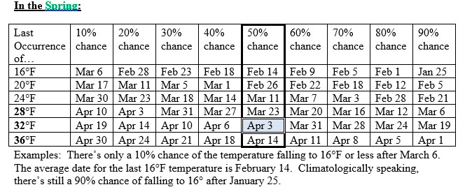 Screen Shot 2020-04-01 at 12.46.57 PM.png