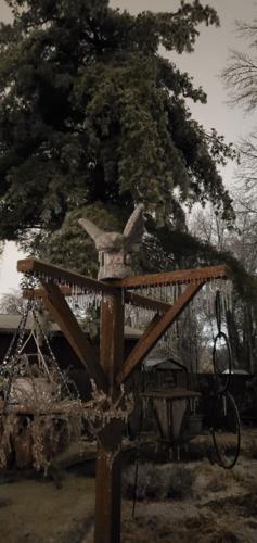 Ice on pine tree near airport