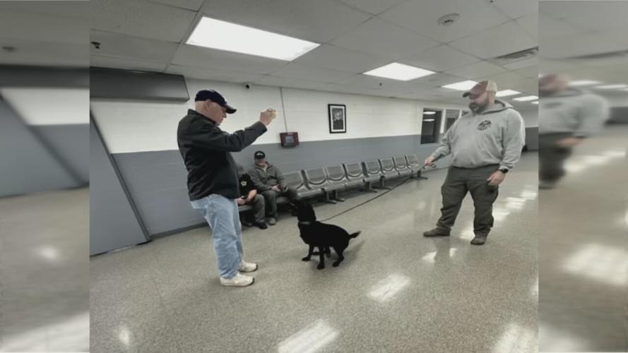 Bullitt County Drug Dog