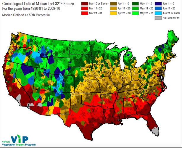 Screen Shot 2020-04-01 at 12.47.32 PM.png