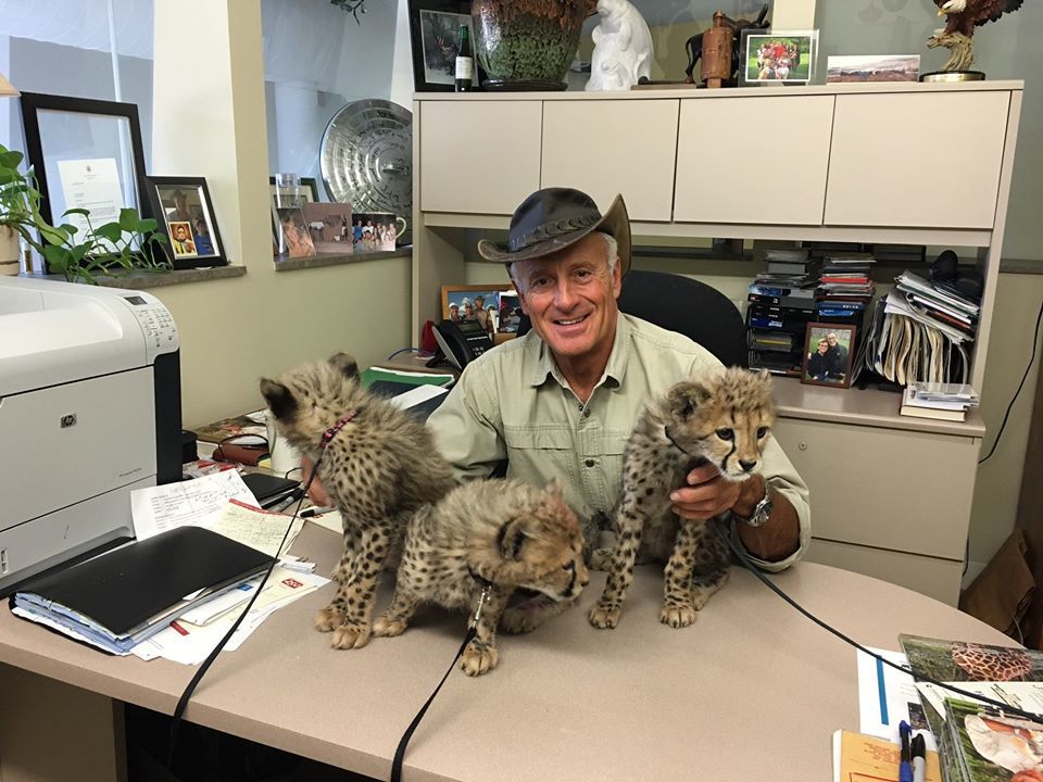 columbus zoo director columbus zoo director