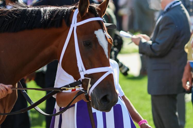 Kentucky Oaks Day 2021-36.jpg