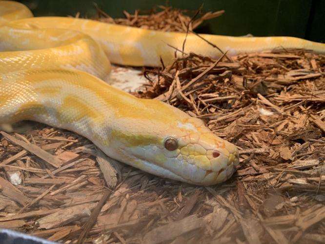 Wilstem Wildlife Park.jpg