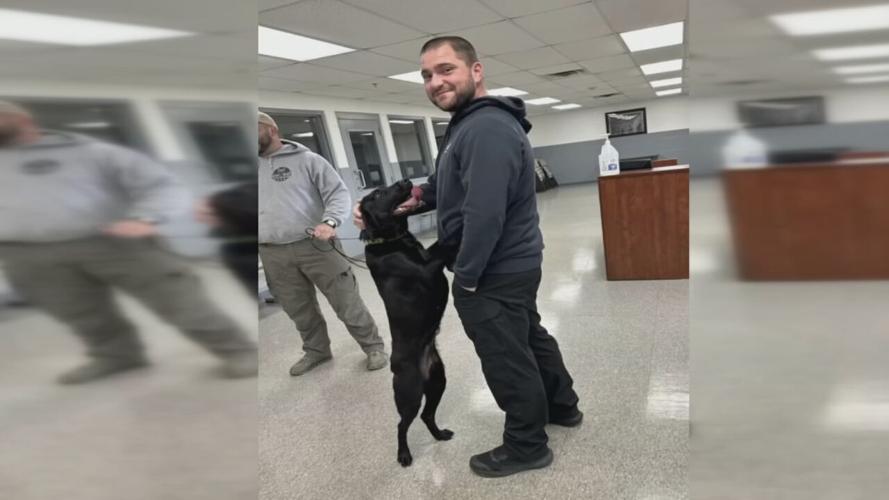 Bullitt County Drug Dog