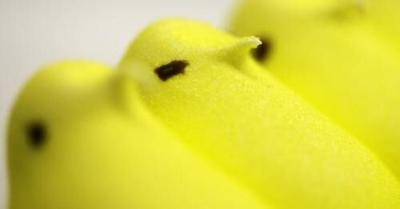 Peeps exhibit opens for 13th year