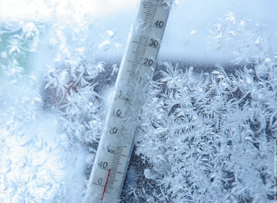 Frost Flowers Formed This Morning