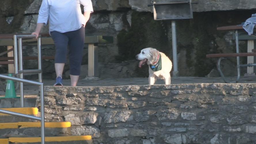 Lakeside Doggie Dip 2021 (3).jpeg