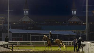 Early morning backside