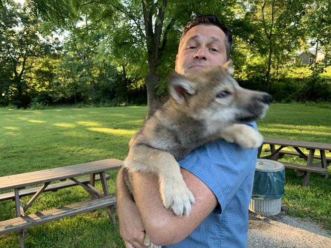 Wilstem Wildlife Park (42).JPG