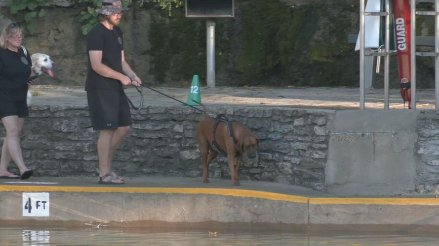 Lakeside Doggie Dip 2021 (2).jpeg