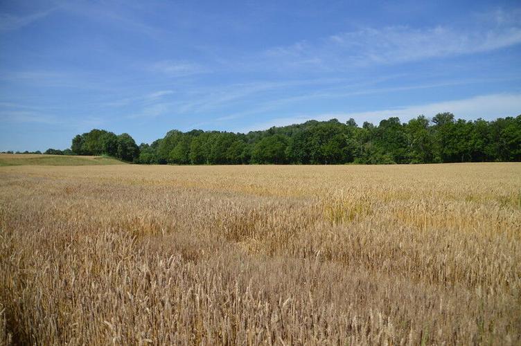 Maker's Mark Distillery