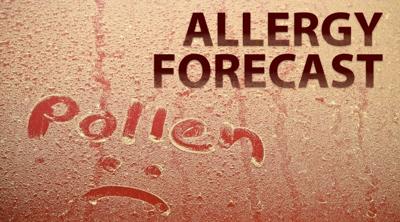 Pollen Count Climbs During Nice