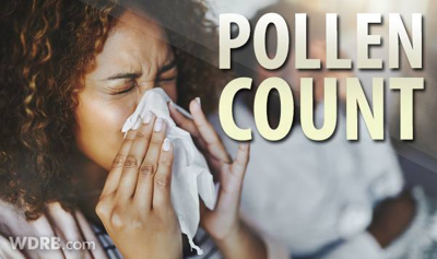Pollen Count Climbs After Rain
