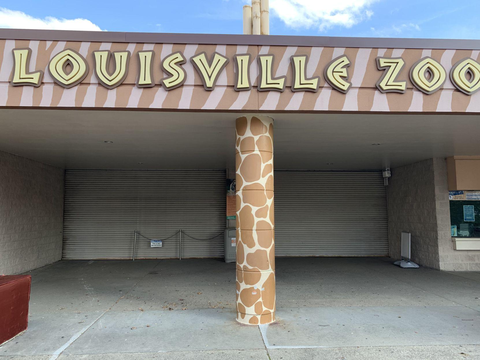 Louisville Zoo losing 1 million a month during pandemic, director