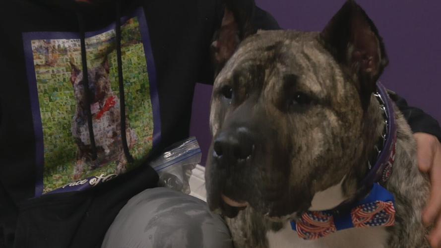 ETHAN HERO WALL (3).jpeg