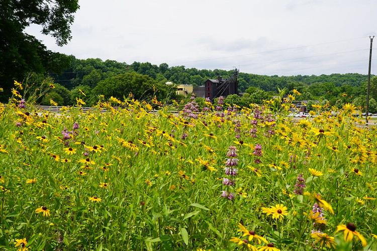Maker's Mark Distillery