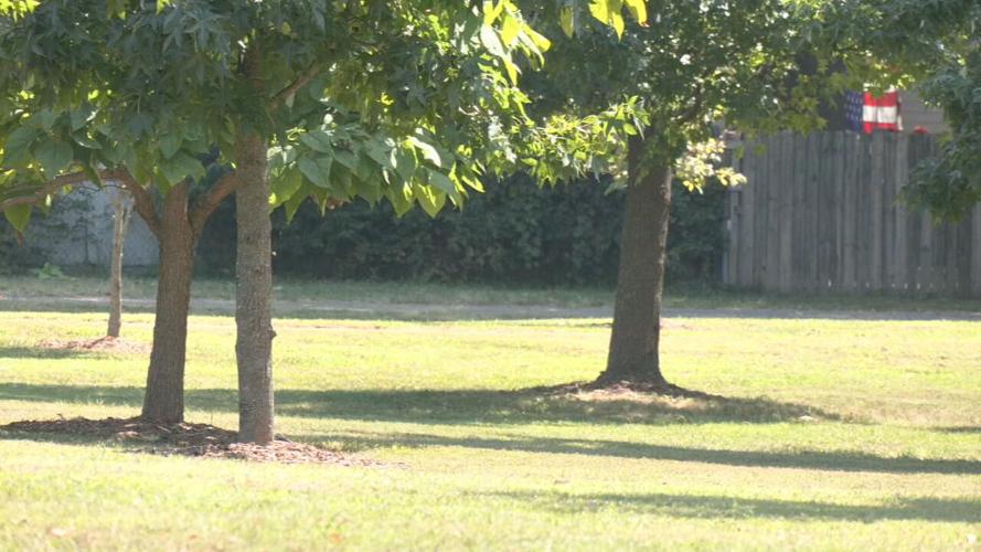 UOFL IMPACT OF TREES ON HEALTH