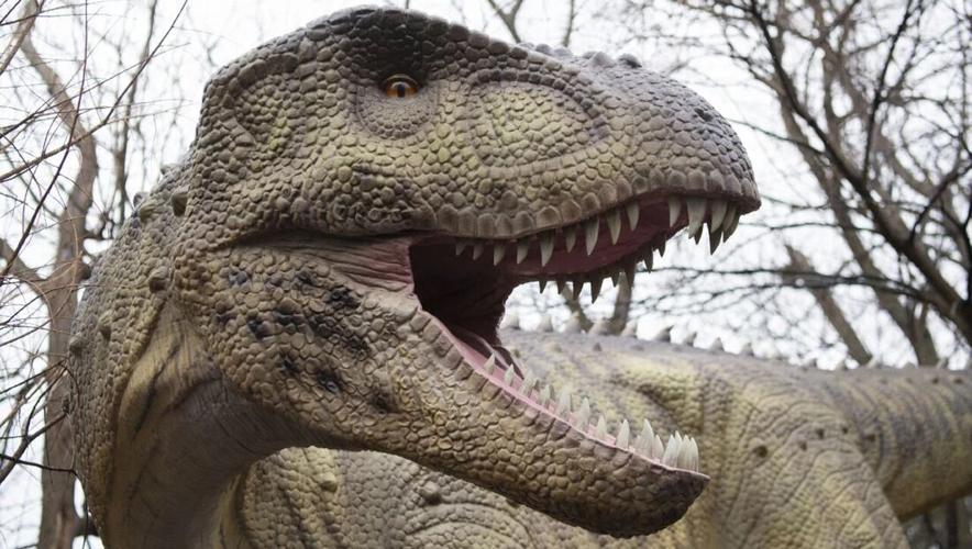 Dino Quest exhibit